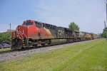 CN train 251 at Holly